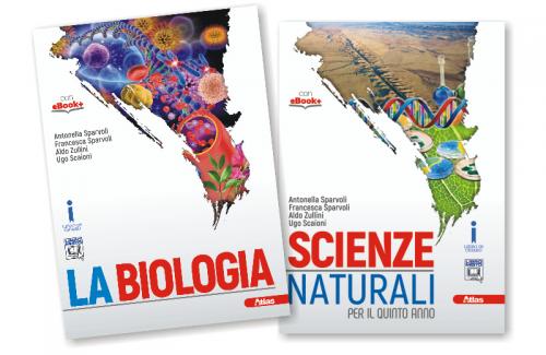 scienzeLiceiScientifici